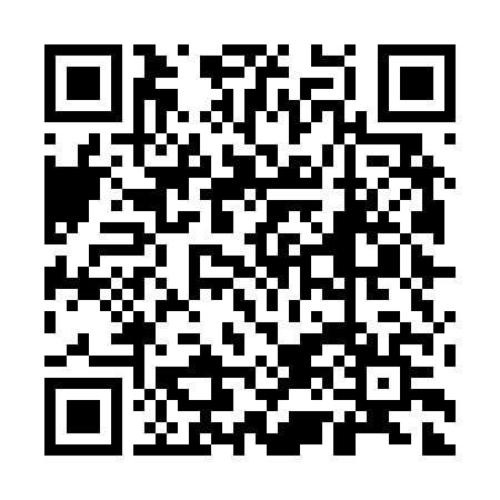 UPI QR Code